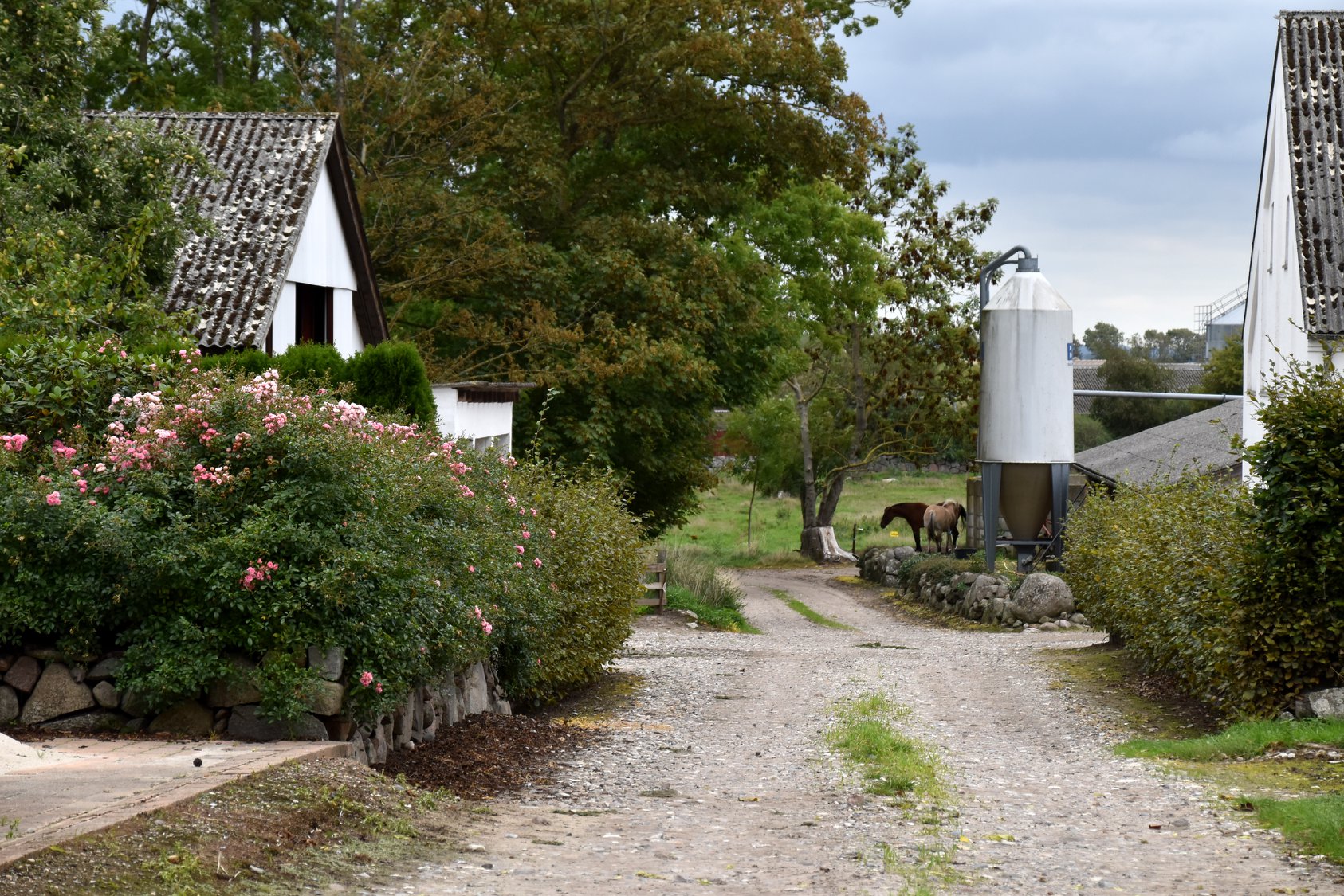 41667189_297829771000083_6867758079031640064_o