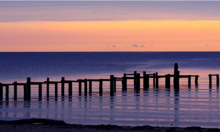 Middelfart – Strib – Vejlbyfed