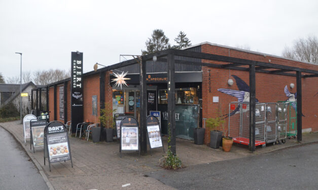 STOR KONCERT & MUSIKMESSE I BJERT 12. MARTS